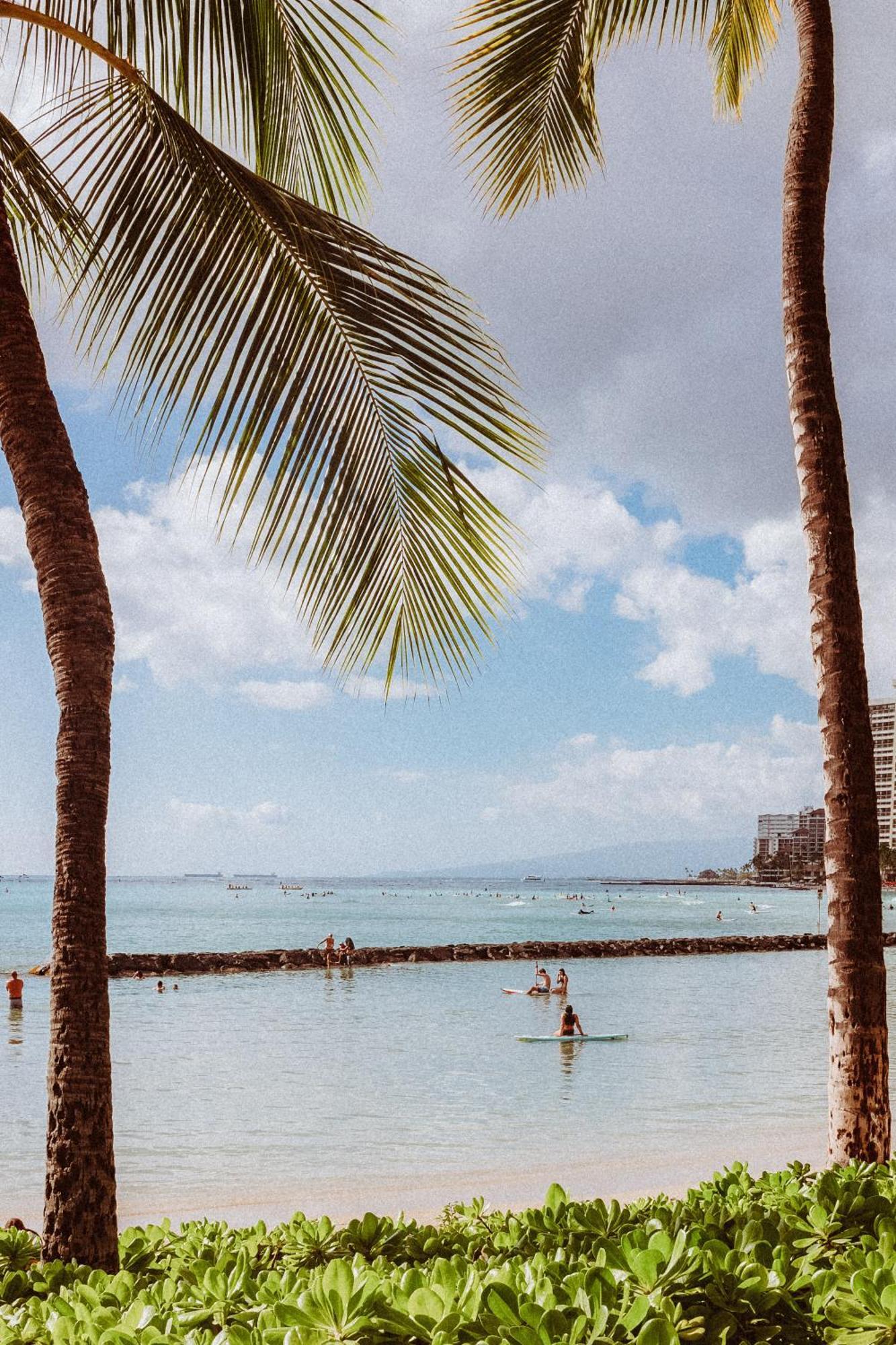 Hotel Royal Grove Waikiki Honolulu Esterno foto